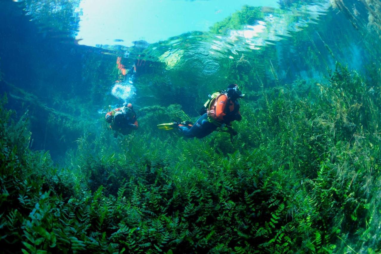 Casa Rosamari - Su Lago Di Posta Fibreno, Appartamento Con Camino المظهر الخارجي الصورة