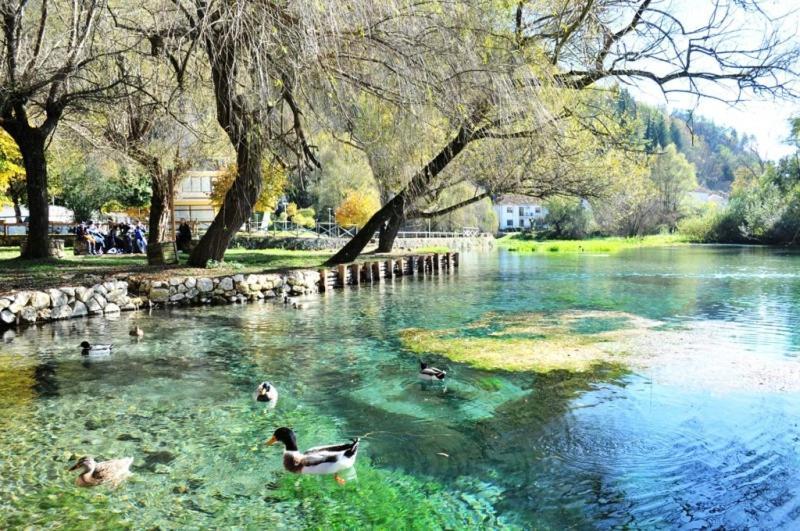 Casa Rosamari - Su Lago Di Posta Fibreno, Appartamento Con Camino المظهر الخارجي الصورة