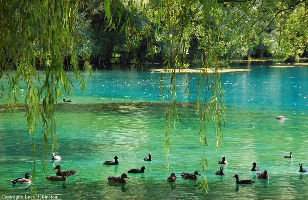 Casa Rosamari - Su Lago Di Posta Fibreno, Appartamento Con Camino المظهر الخارجي الصورة