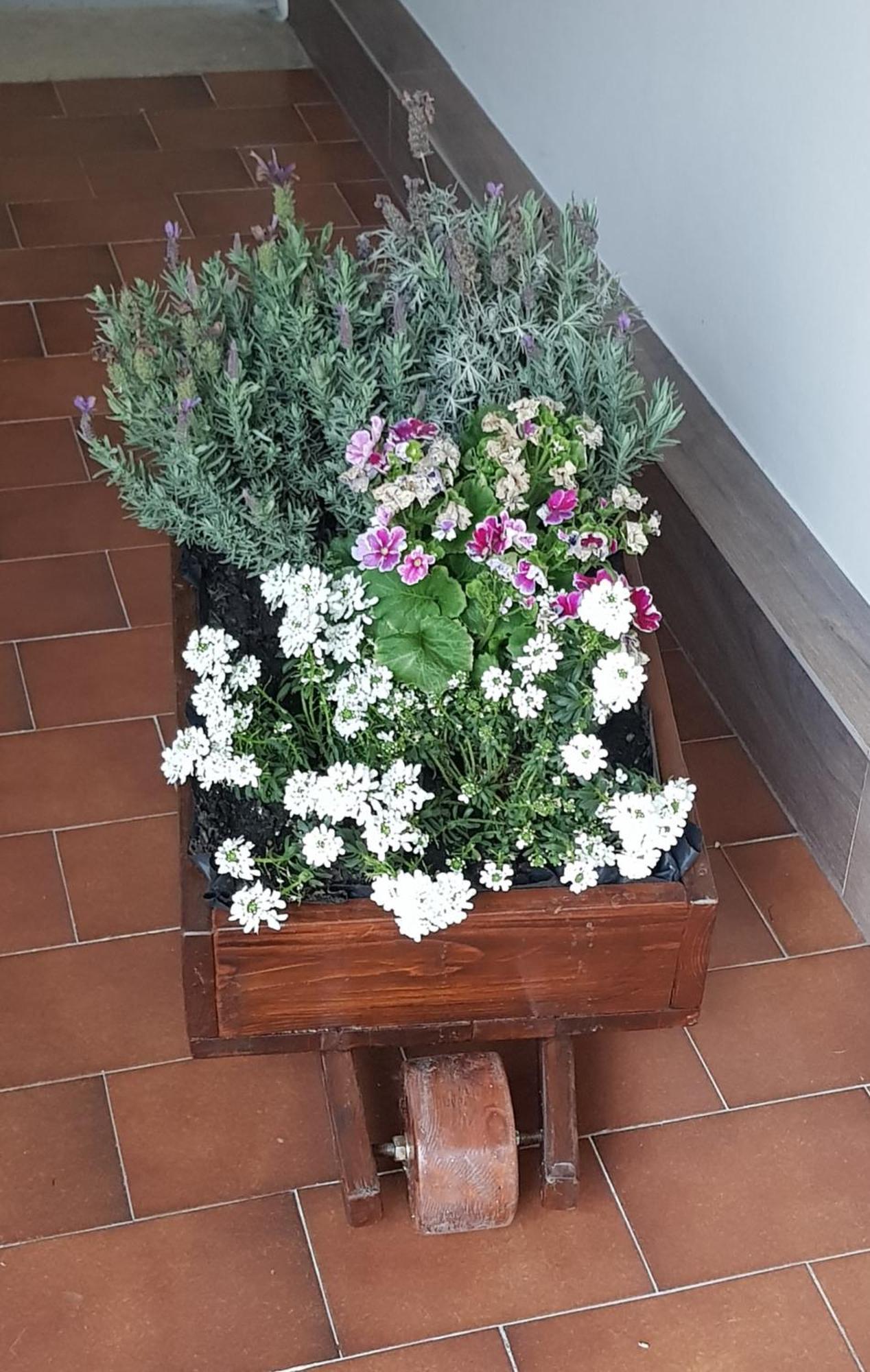 Casa Rosamari - Su Lago Di Posta Fibreno, Appartamento Con Camino المظهر الخارجي الصورة